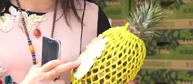 推動(dòng)廈門高雄農(nóng)漁產(chǎn)品采購(gòu)協(xié)議落地 高雄特色農(nóng)產(chǎn)陸續(xù) 登鷺